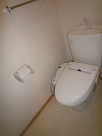 Toilet. Warm water washing toilet seat