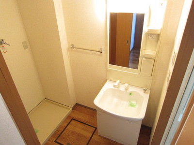 Washroom. Shampoo dresser with