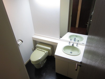 Washroom. Stylish design, such as a hotel