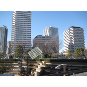 Supermarket. Ito-Yokado Ario Kawaguchi store up to (super) 1377m