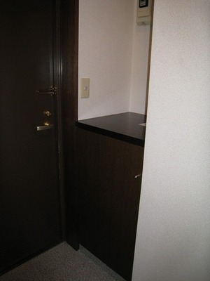 Entrance. There cupboard