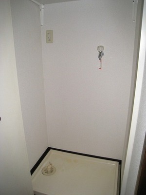 Other. Put comfortably To washing machine