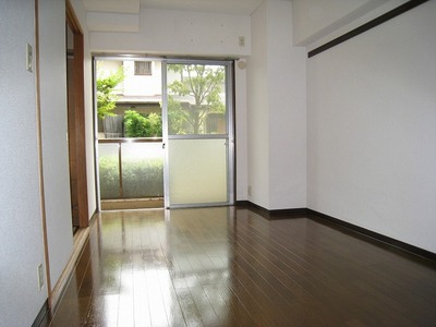 Living and room. Clean flooring