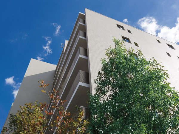 Shared facilities. Building appearance