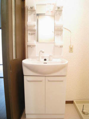 Washroom. With happy women Shandore!