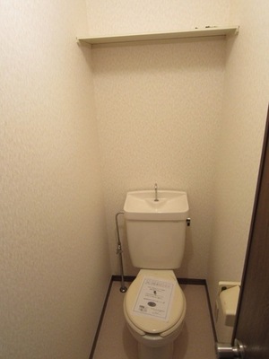 Toilet. There is also a shelf of every paper to the top