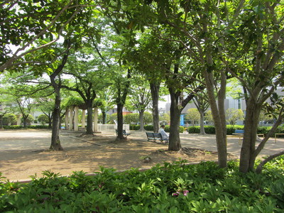 park. 630m to Totsuka equator park (park)