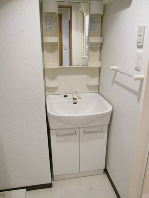 Washroom. Busy is also a grooming check with shampoo dresser