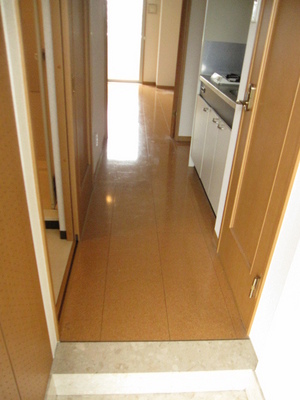 Entrance. This is the feeling from the front door