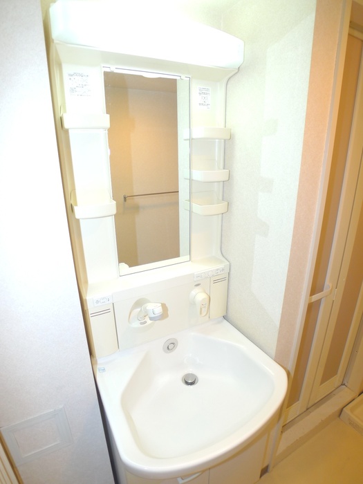 Washroom. Shampoo dresser