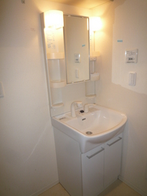 Washroom. Shower Dresser