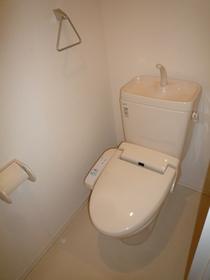 Toilet. Warm water washing toilet seat