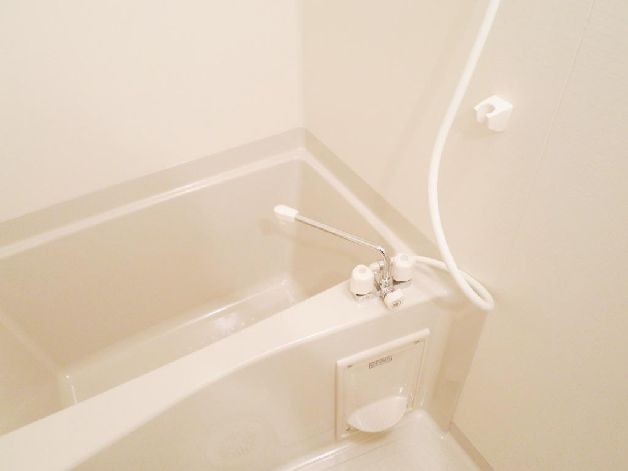 Bath. Bathroom with cleanliness