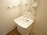 Washroom. Shampoo - dresser -