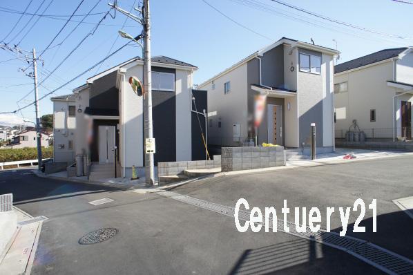 Local photos, including front road