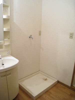 Other. There is storage room washing machine!