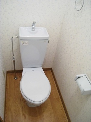 Toilet. Toilet with cleanliness