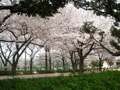 park. 756m to Totsuka Enokido park (park)