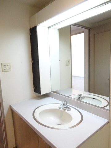 Washroom. Bathroom vanity