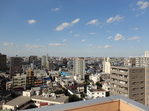 View. View from the roof balcony