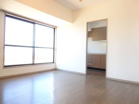 Living and room. Living-dining