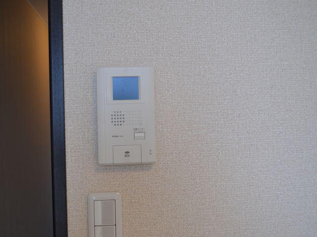 Security. Pat security with a TV monitor Hong