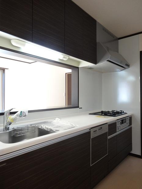 Kitchen. Indoor (11 May 2013) Shooting