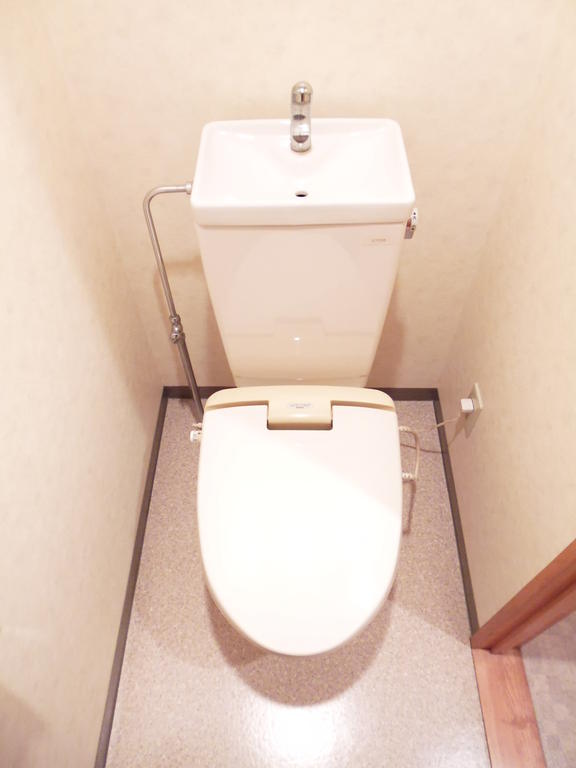 Toilet. Toilet with cleanliness