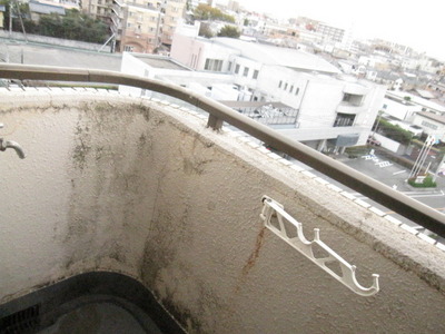 View. View sunny it is because the front is opened