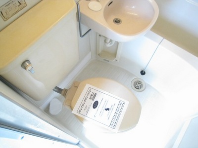 Toilet. Cleaning Ease units bus