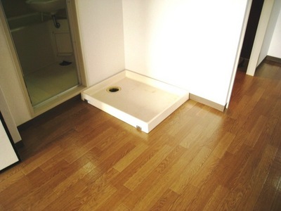 Other. Is Indoor Laundry Area