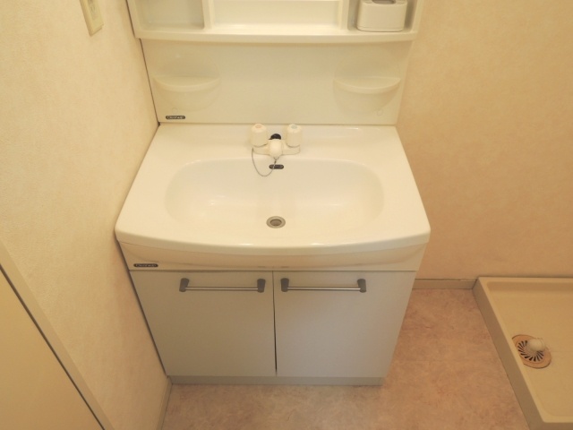 Washroom. Sink is a new article