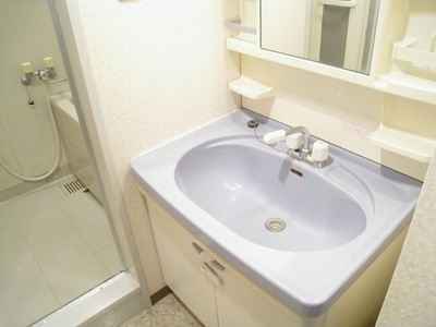 Washroom. Functional wash basin