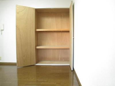Living and room. Convenient stepped storage