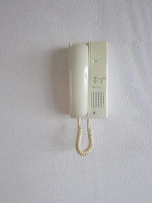 Security. Safely can accommodate visitors with intercom