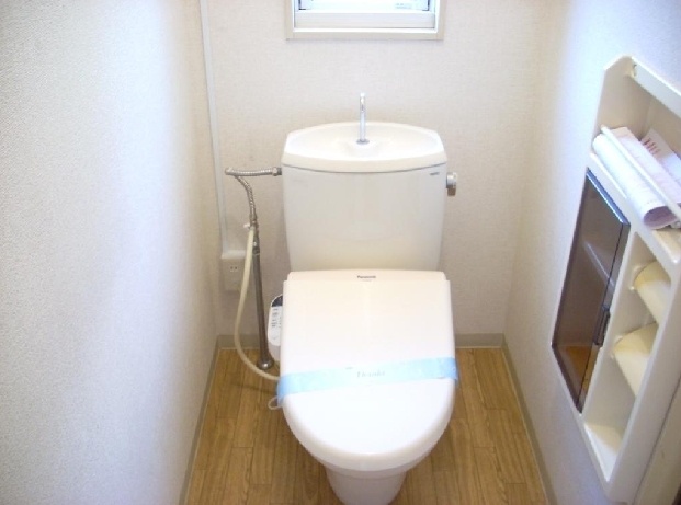 Toilet. Separate reference is a picture