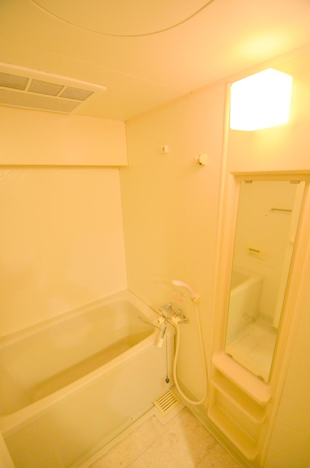 Bathroom. Interior