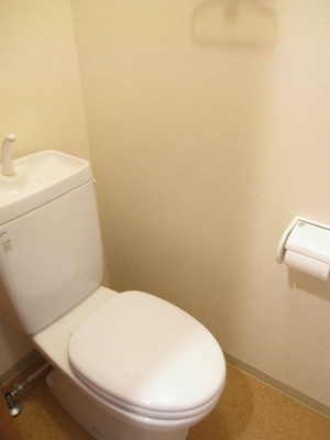 Toilet. Also with convenient storage shelf