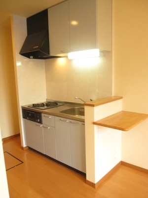 Kitchen. System kitchen with counter