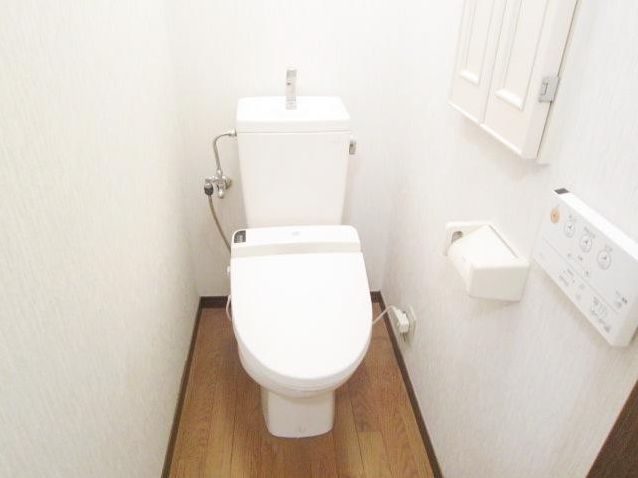 Toilet. Washlet comes. 
