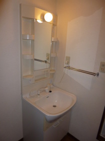 Washroom. Independence is vanity