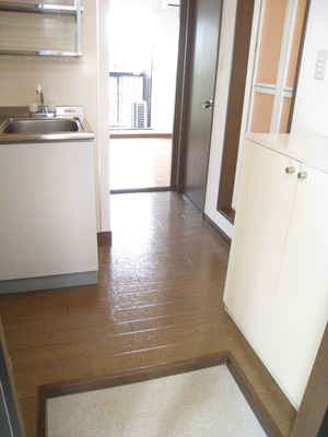 Entrance. It looks like I opened the front door