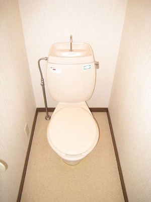 Toilet. Toilet with cleanliness