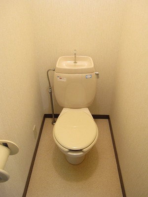 Toilet. Toilet with cleanliness