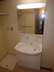 Washroom. Shampoo is vanity