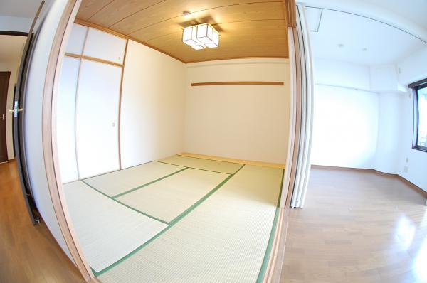 Non-living room. Japanese-style room that follow from living