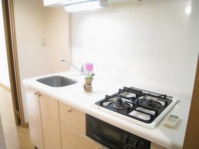 Kitchen. Easy cooking in a wide space