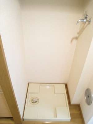 Other. Is Indoor Laundry Area