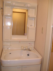 Washroom. Shampoo dresser