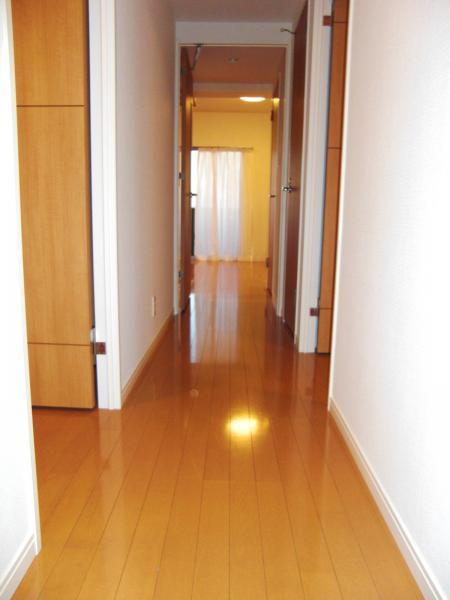 Other introspection. Corridor